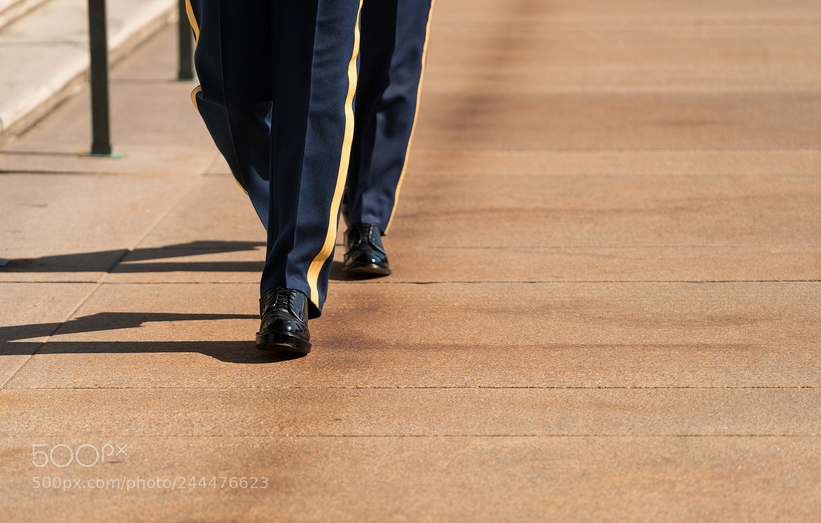 Sony a7R II sample photo. Legs and feet of photography