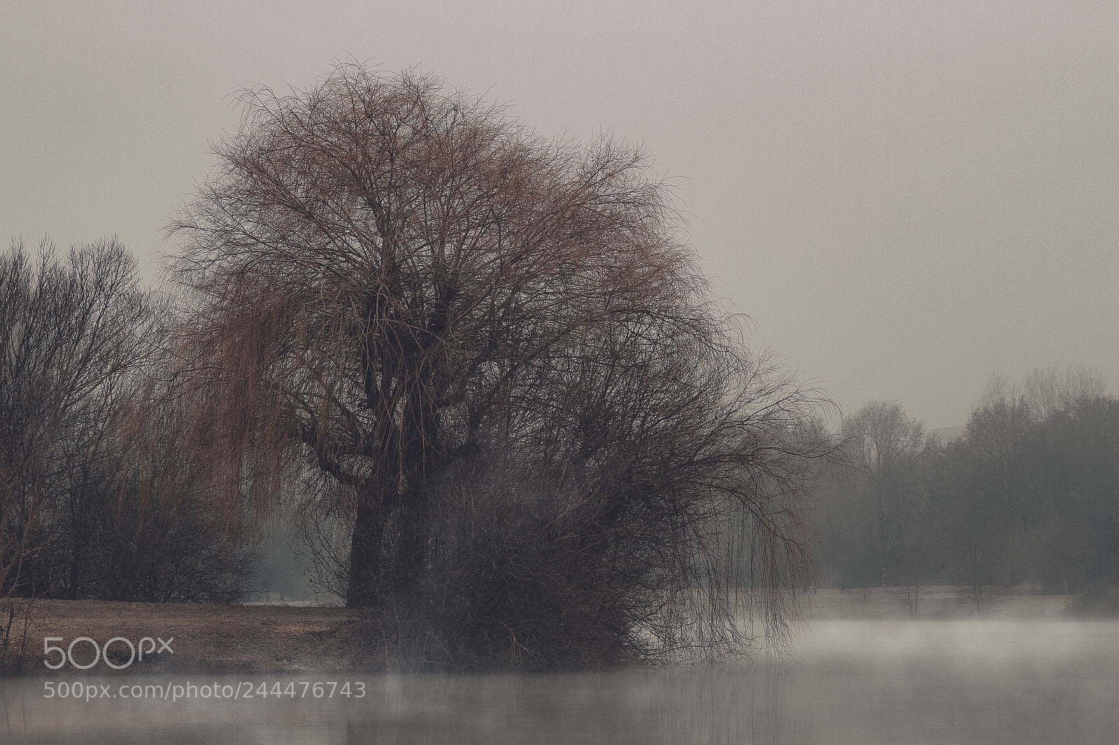 Canon EOS 7D sample photo. Mist on the lake photography