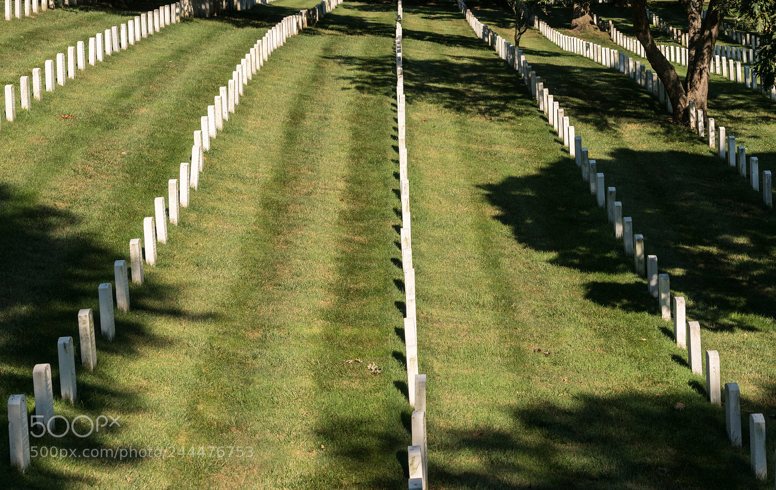 Sony a7R II sample photo. Rows of gravestone markers photography