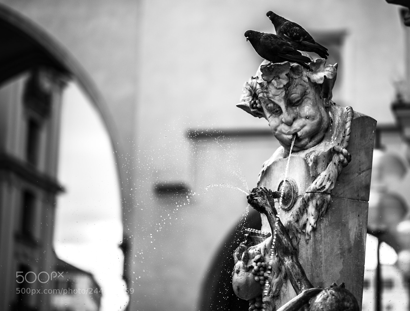 Nikon Df sample photo. [nikon,munich,2014]-5.jpg photography
