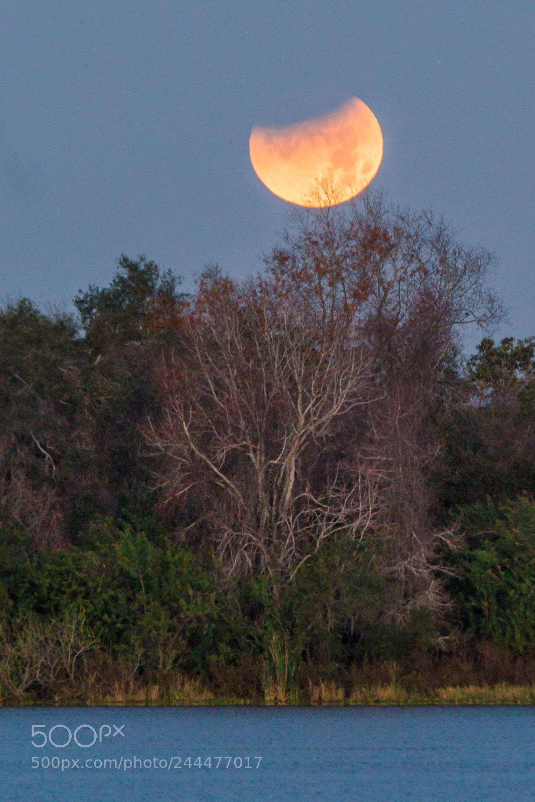 Canon EOS 60D sample photo. Super blue blood moon photography