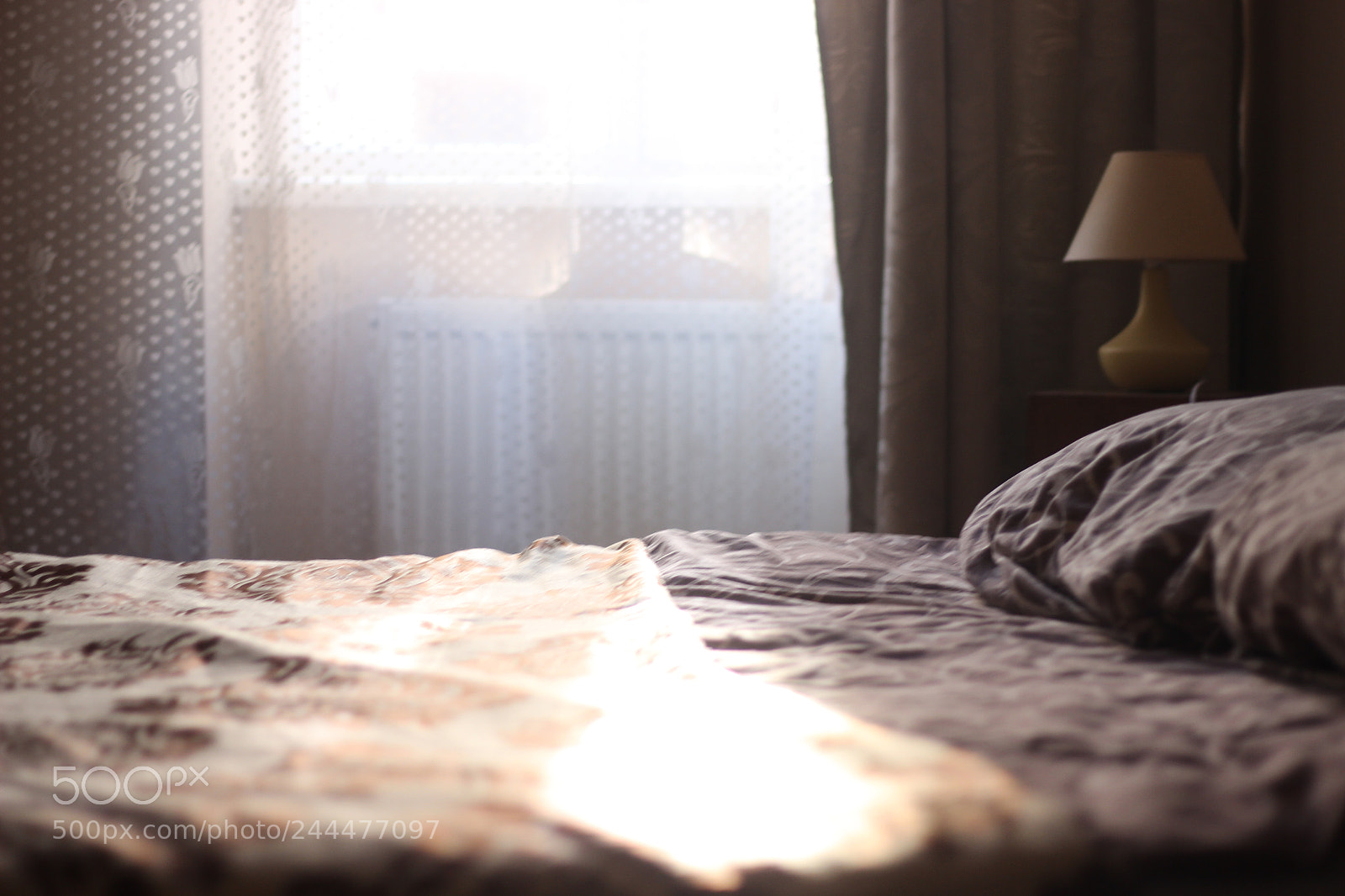 Canon EOS 600D (Rebel EOS T3i / EOS Kiss X5) + Canon EF 50mm F1.8 STM sample photo. Sun sleeps photography