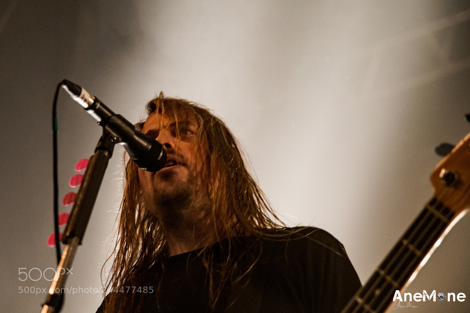 Canon EOS-1D X sample photo. Airbourne photography