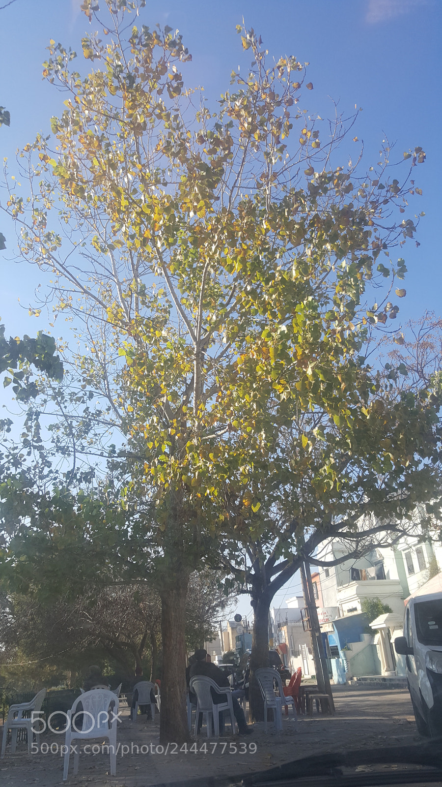 Samsung Galaxy Note5 sample photo. Untitled photography