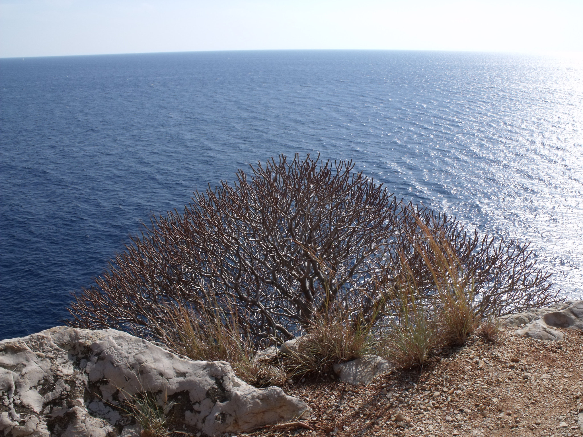 Fujifilm FinePix S1500 sample photo. The sea photography