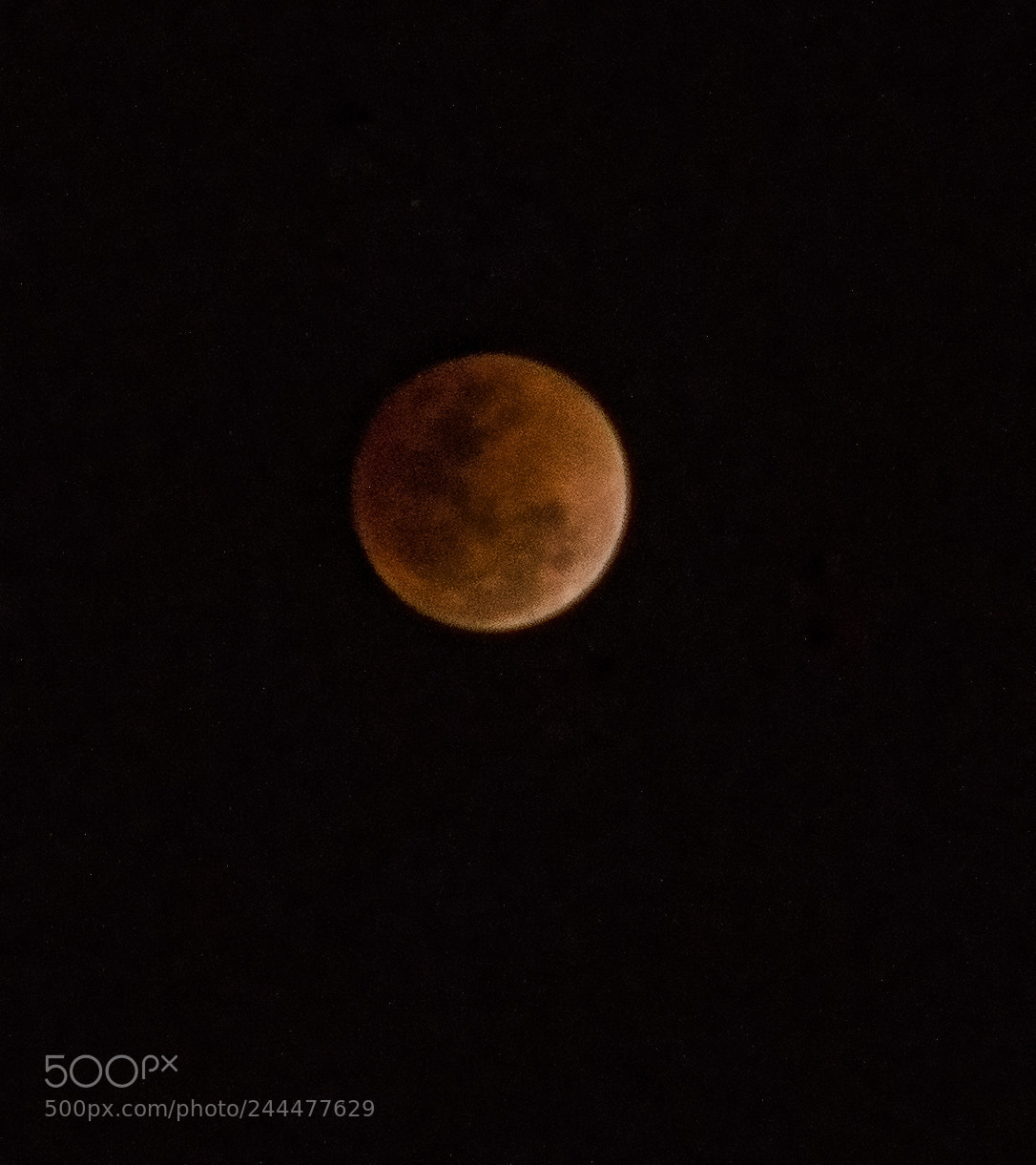 Canon EOS 6D sample photo. Blood red moon photography