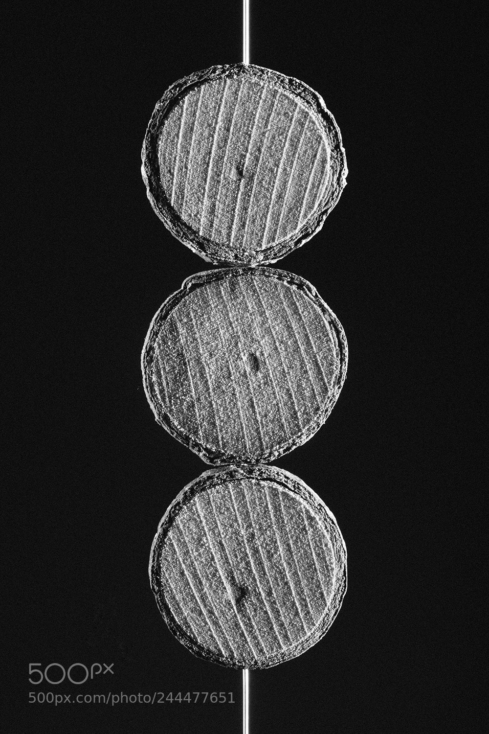 Canon EOS 5DS sample photo. Circles tree photography