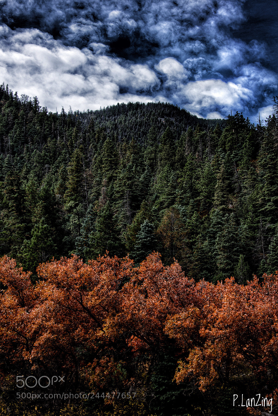 Nikon D810 sample photo. Mountain afternoon photography