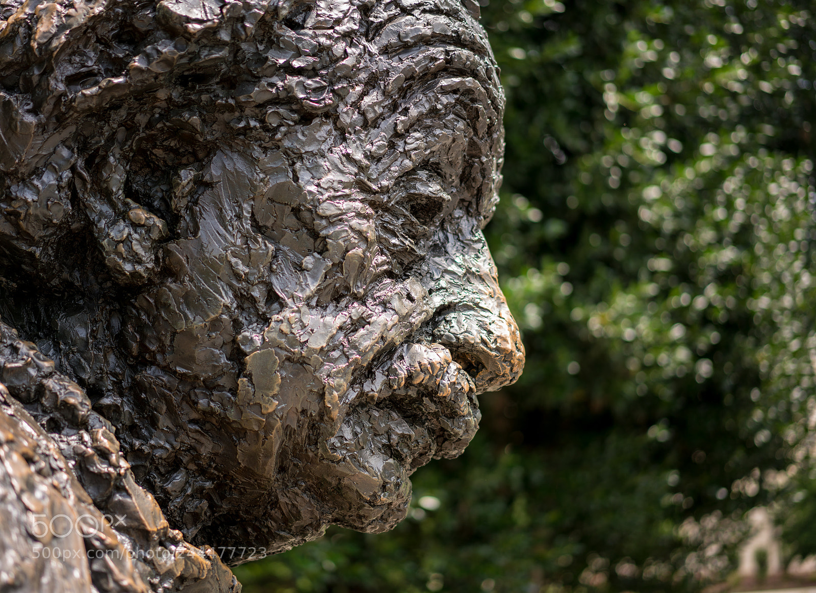 Sony a7R II sample photo. Statue of albert einstein photography
