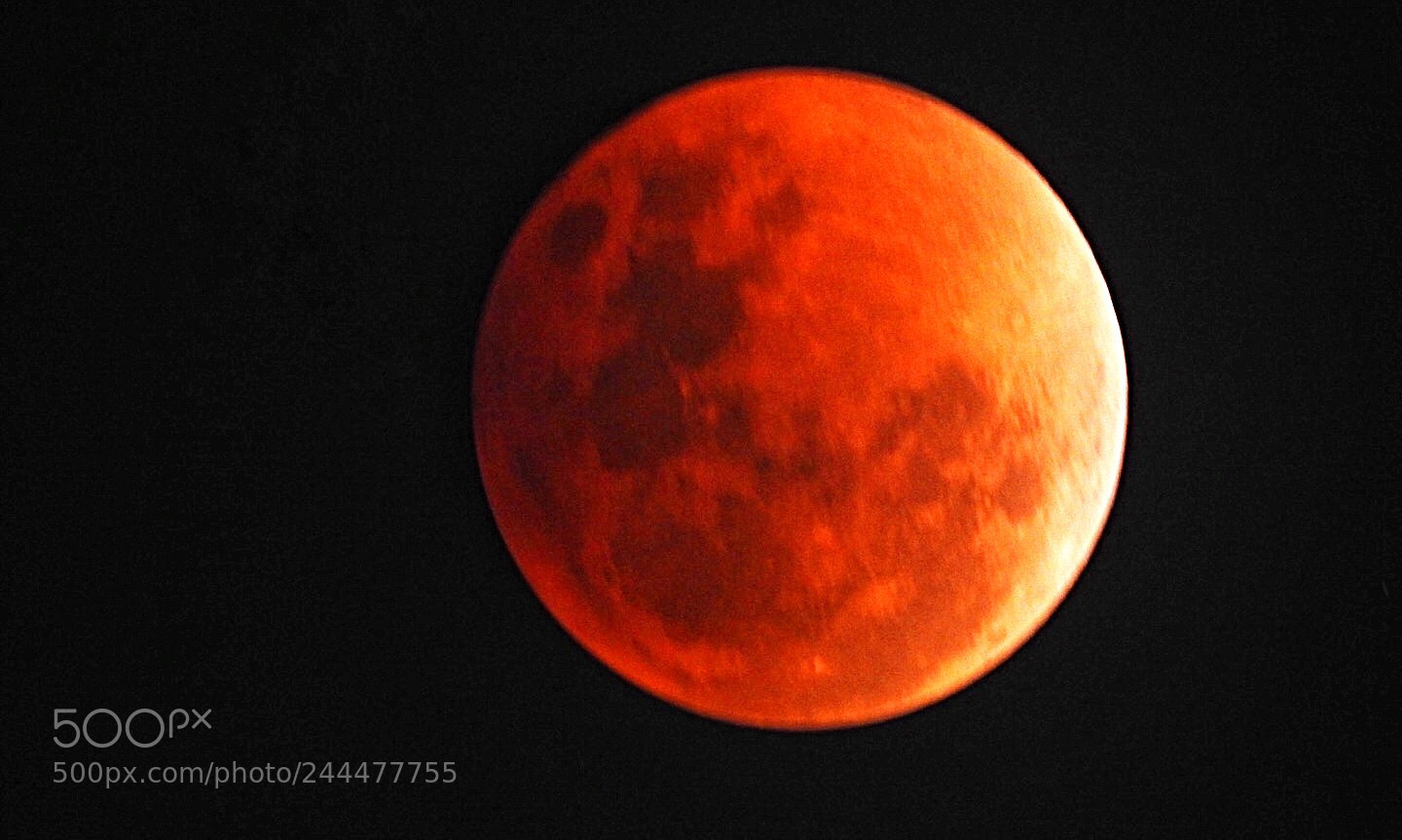 Nikon Coolpix P900 sample photo. Super blue blood moon photography