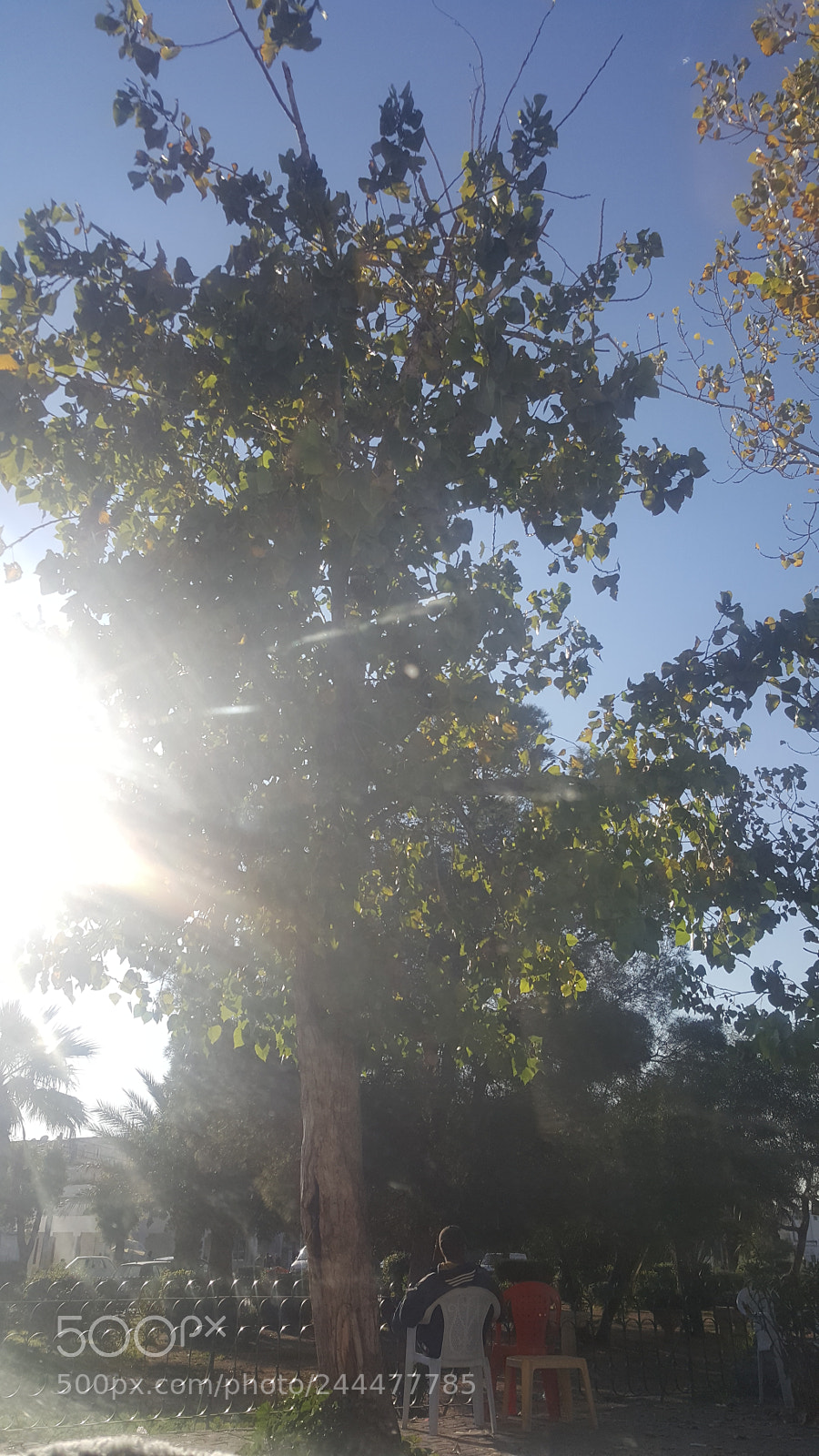 Samsung Galaxy Note5 sample photo. Untitled photography