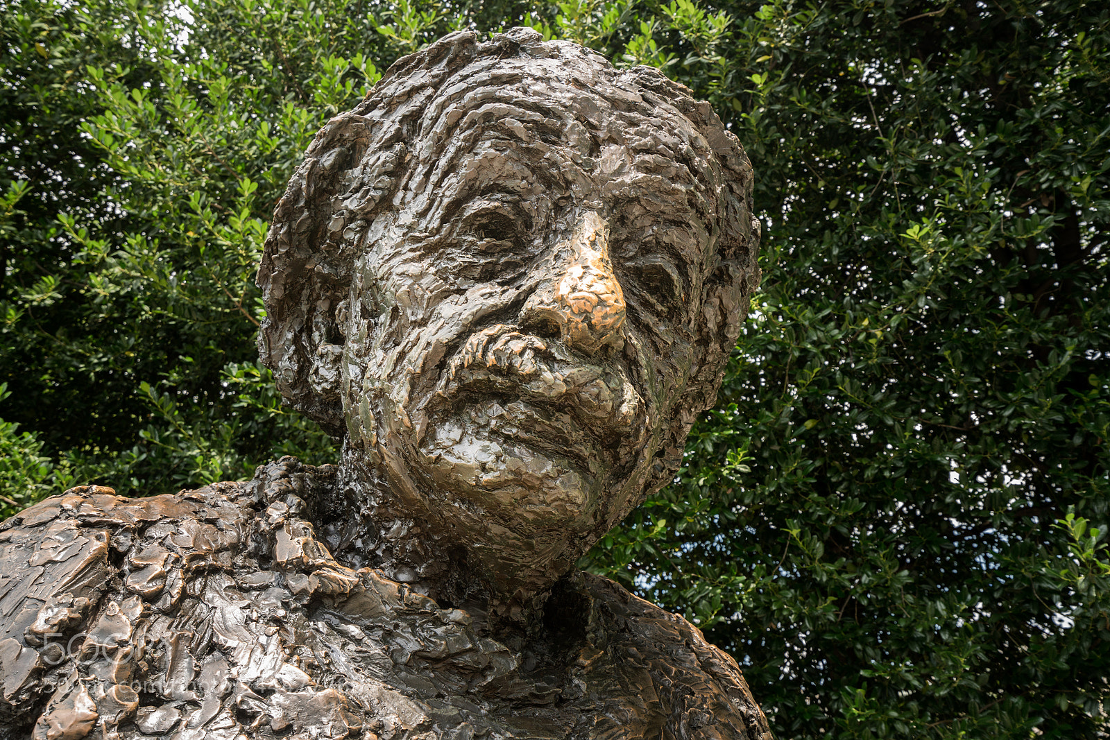 Sony a7R II sample photo. Statue of albert einstein photography