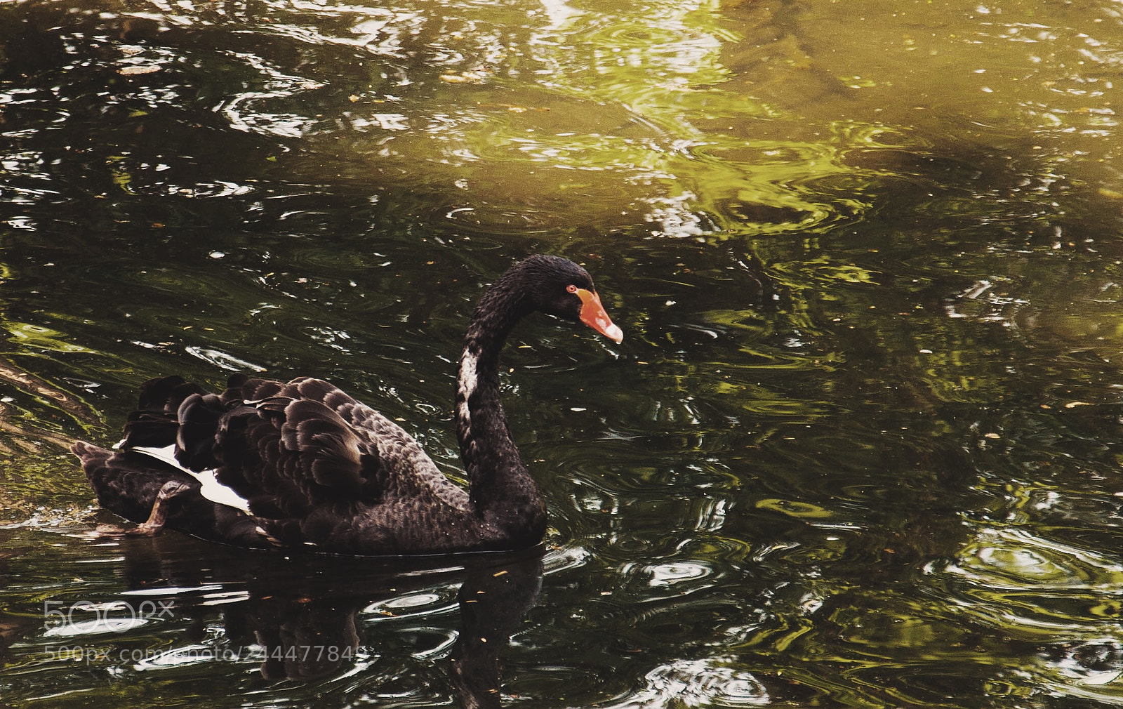 Nikon D90 sample photo. Untitled photography