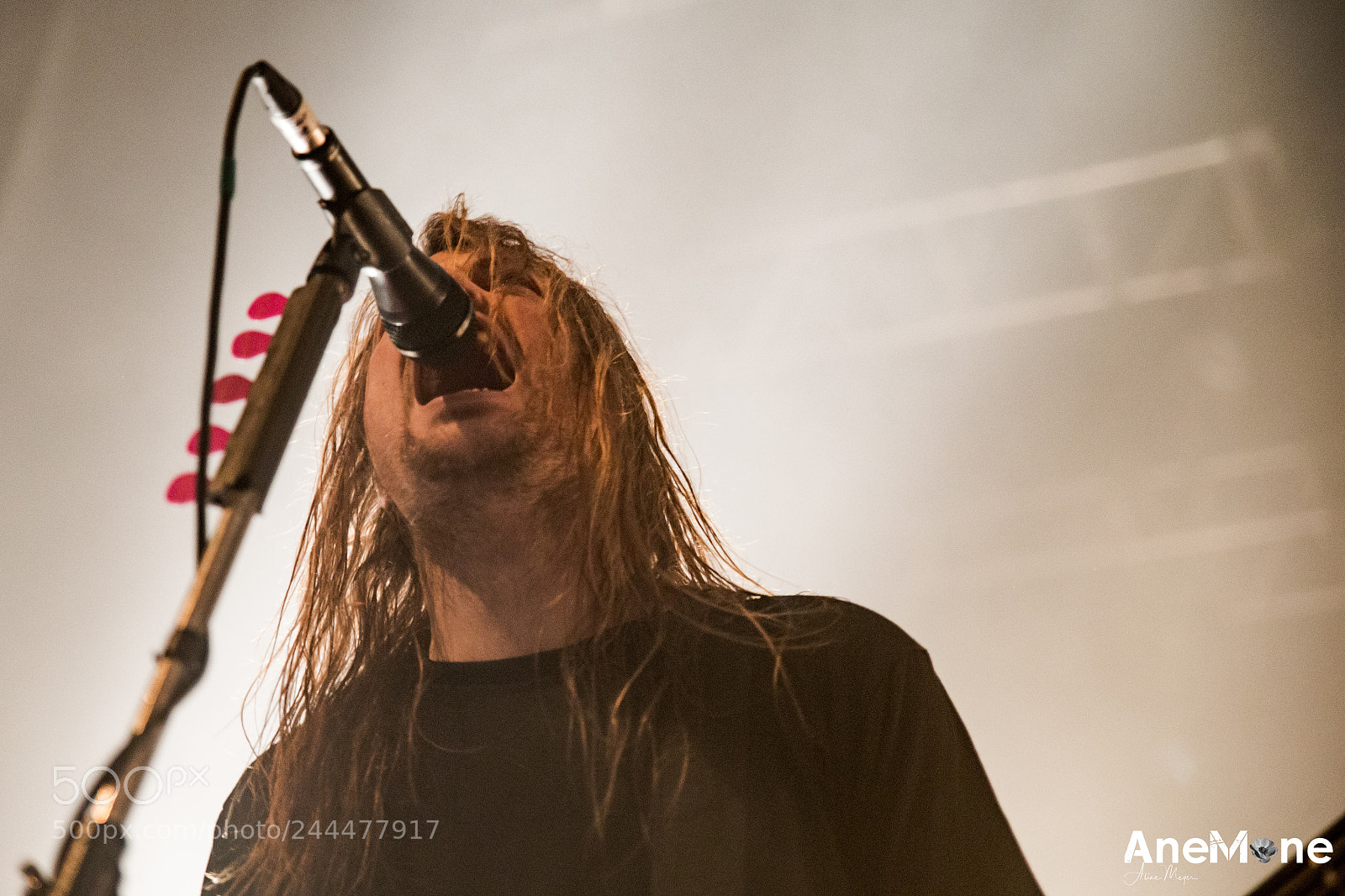 Canon EOS-1D X sample photo. Airbourne photography