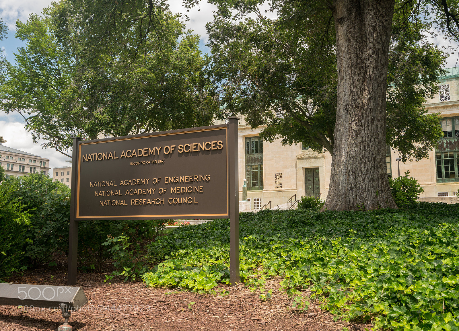 Sony a7R II sample photo. National academy of sciences photography
