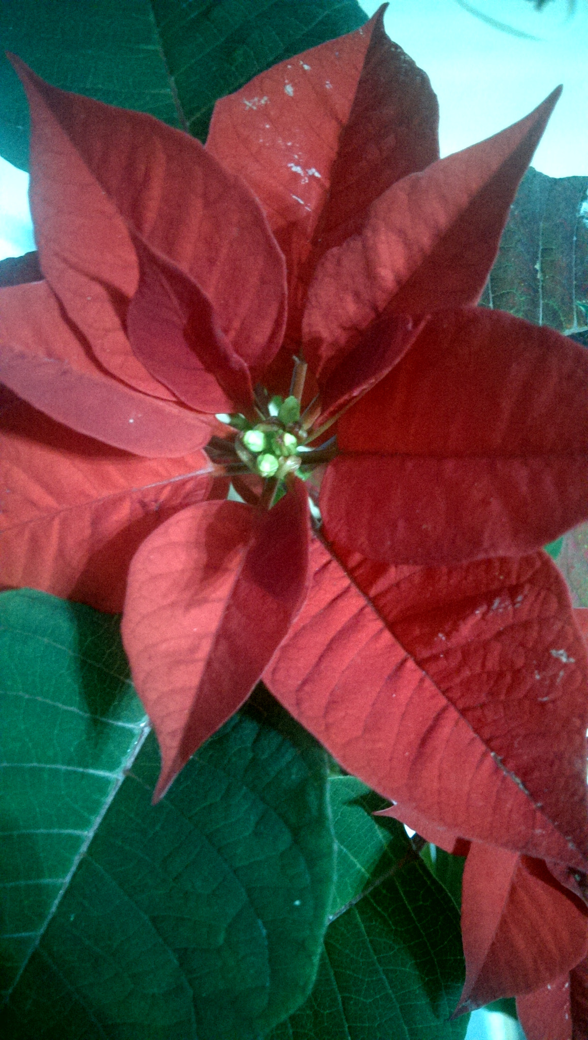 HTC ONE sample photo