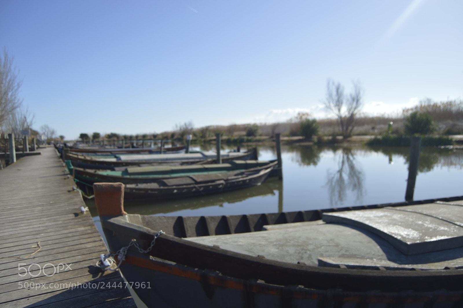 Nikon D3200 sample photo. Albufera photography
