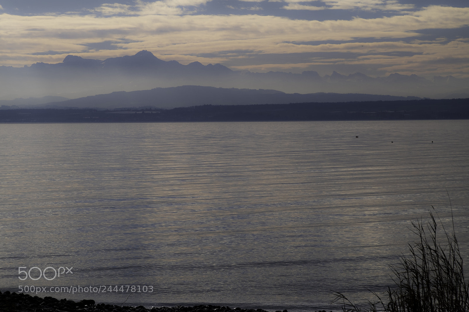 Fujifilm X-T1 sample photo. Still silence photography