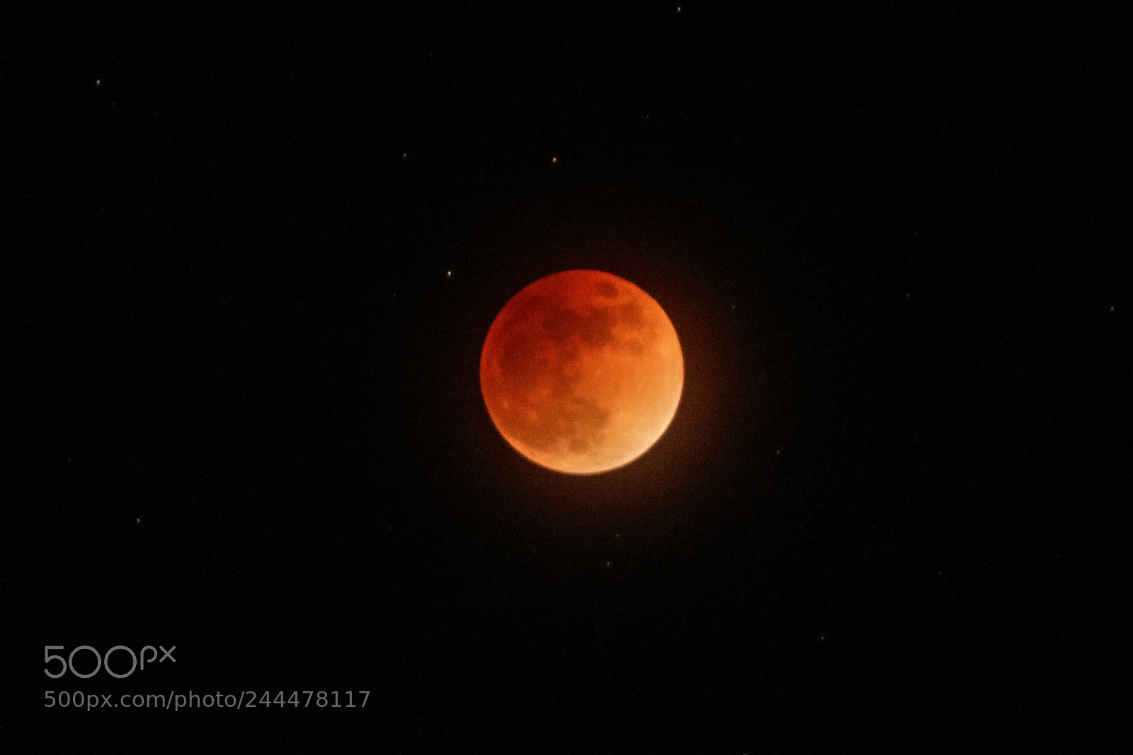 Canon EOS M3 sample photo. Superbluebloodmoon photography