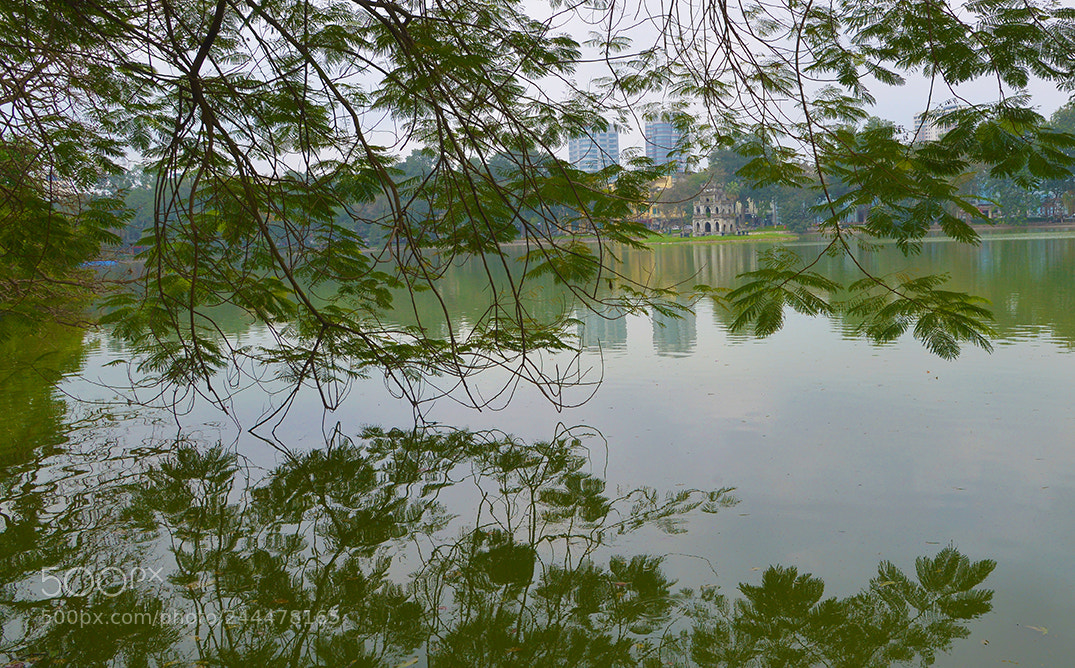 Nikon D600 sample photo. Hoguom photography