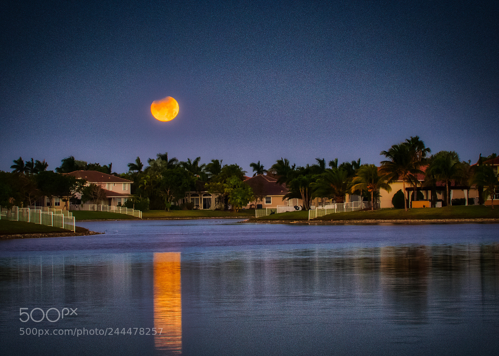 Olympus OM-D E-M1 sample photo. Superblueblood moon photography