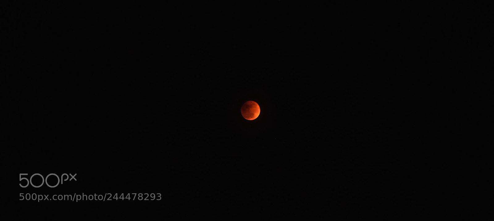 Sony a7 II sample photo. Lunar eclipse photography