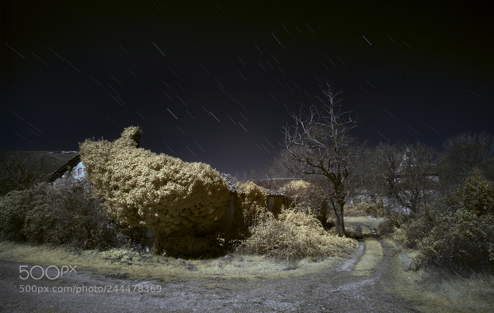 Canon EOS 5D sample photo. Lete, an abandoned place photography