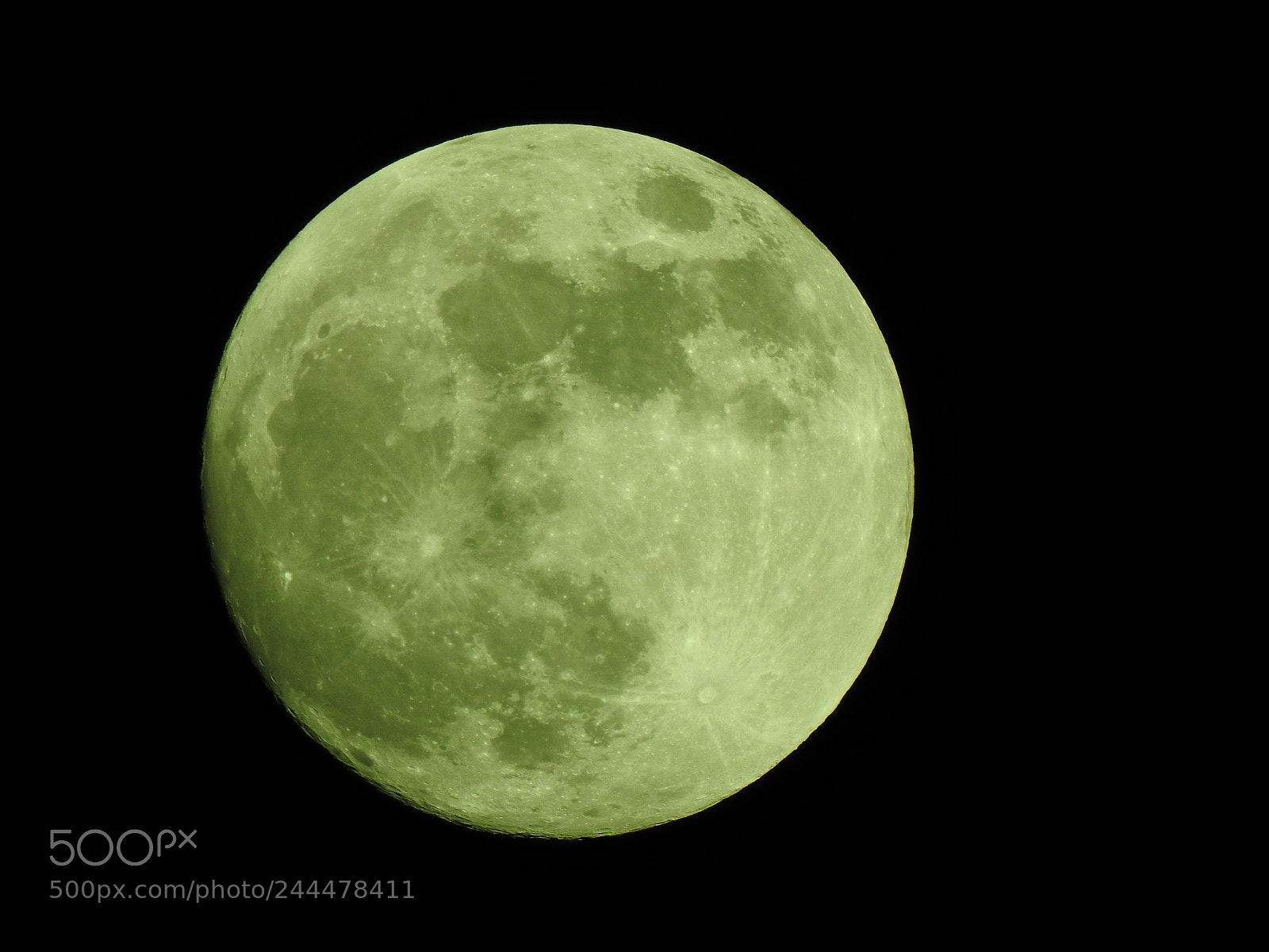 Nikon Coolpix P900 sample photo. Moon photography
