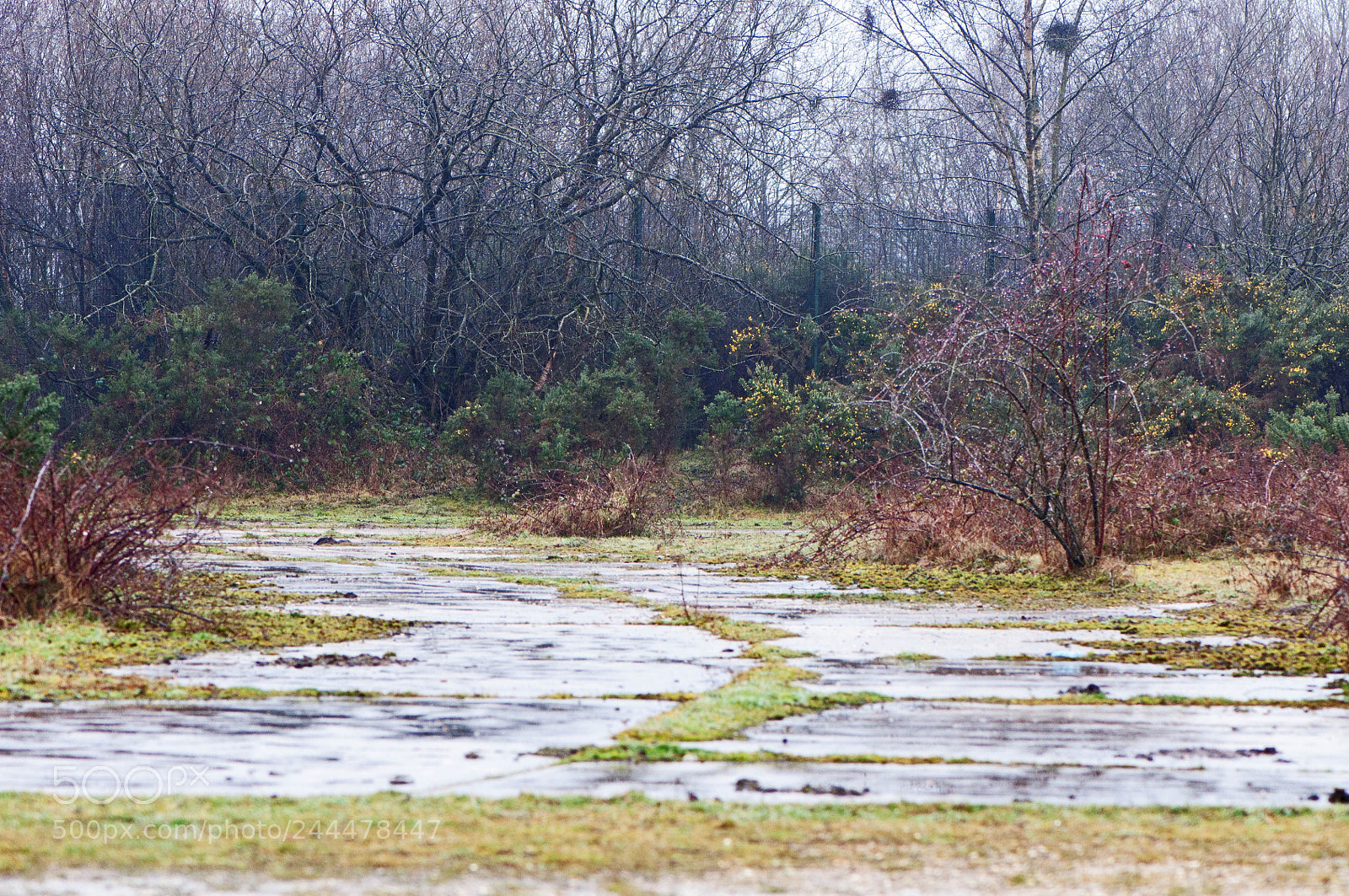 Nikon D90 sample photo. Greenham common photography