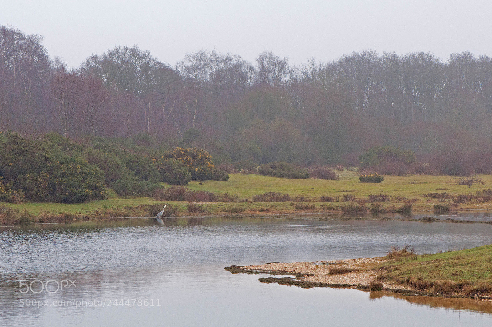 Nikon D90 sample photo. Greenham common photography