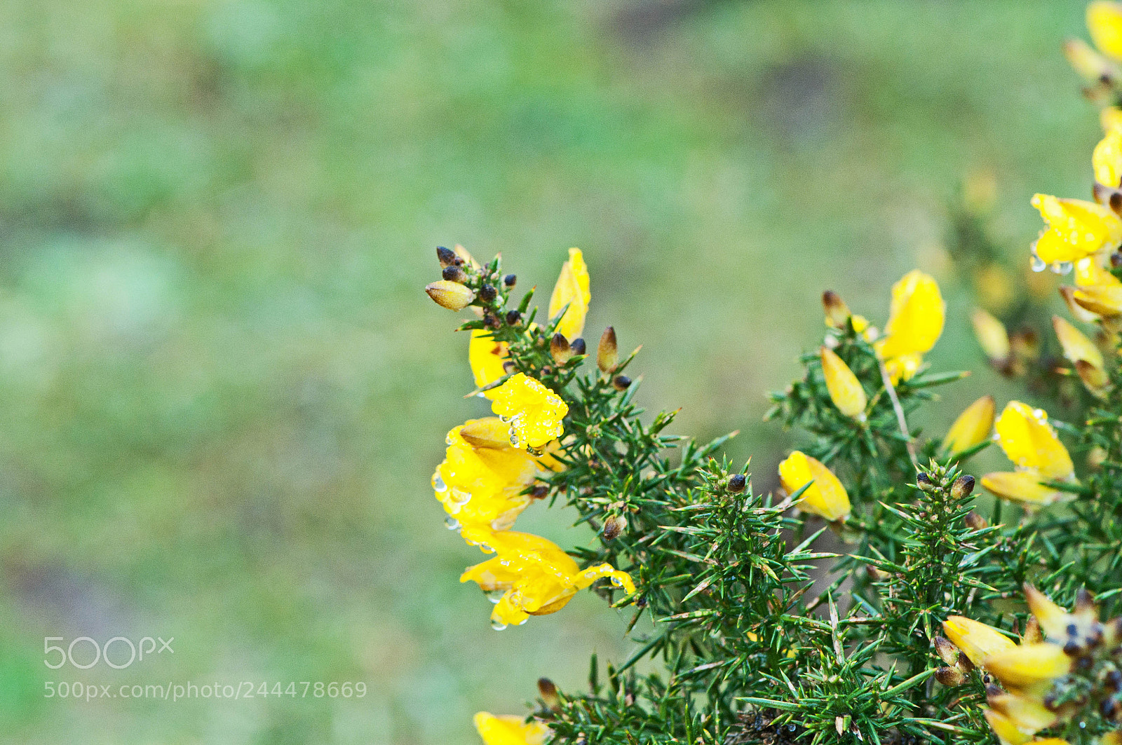 Nikon D90 sample photo. Greenham common photography