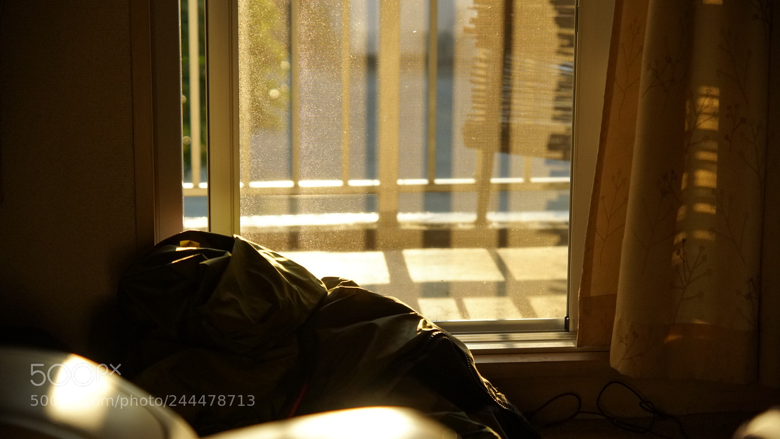 Sony a6500 sample photo. Untitled photography