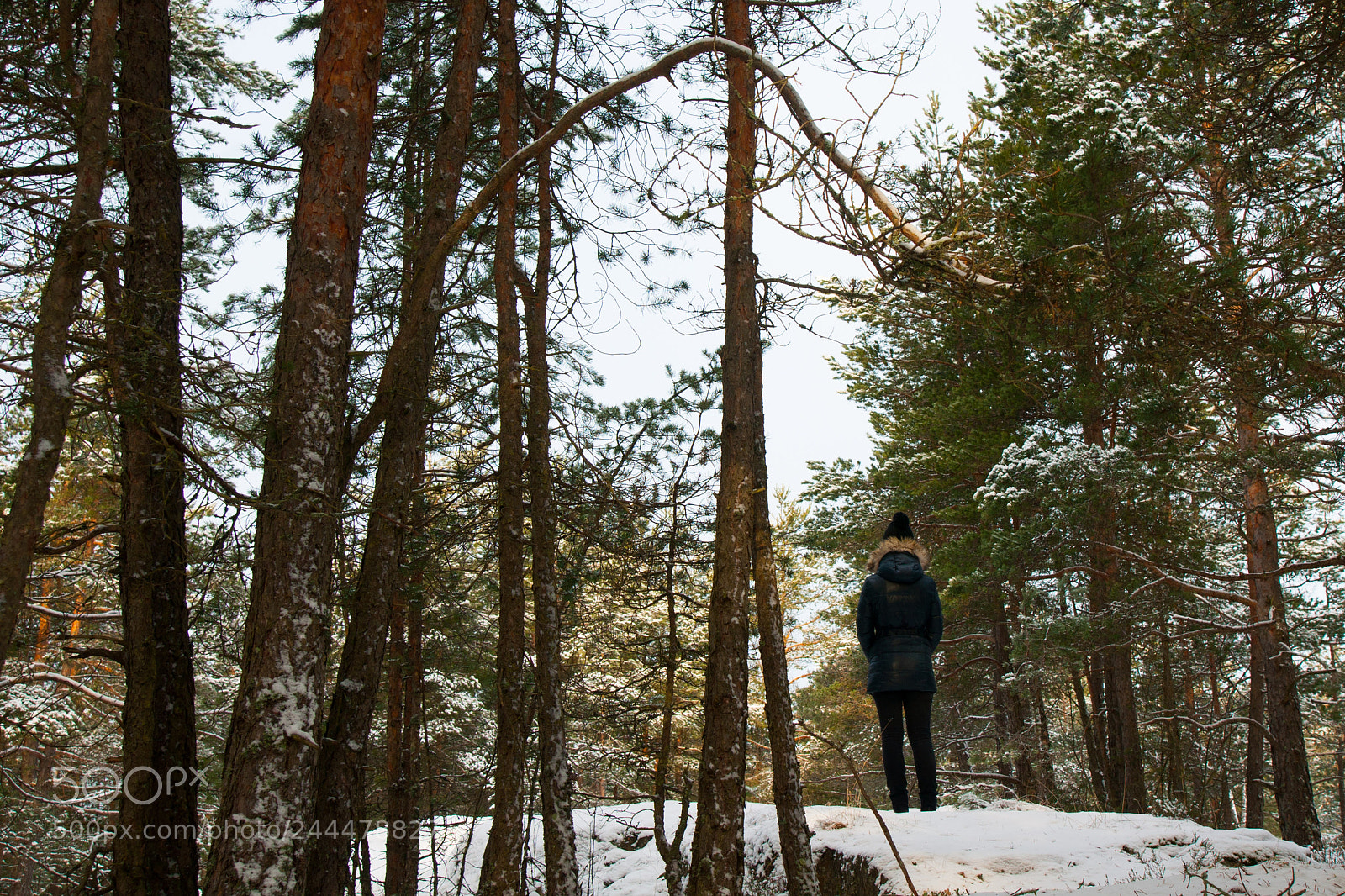 Sony Alpha DSLR-A700 sample photo. Peace of mind photography