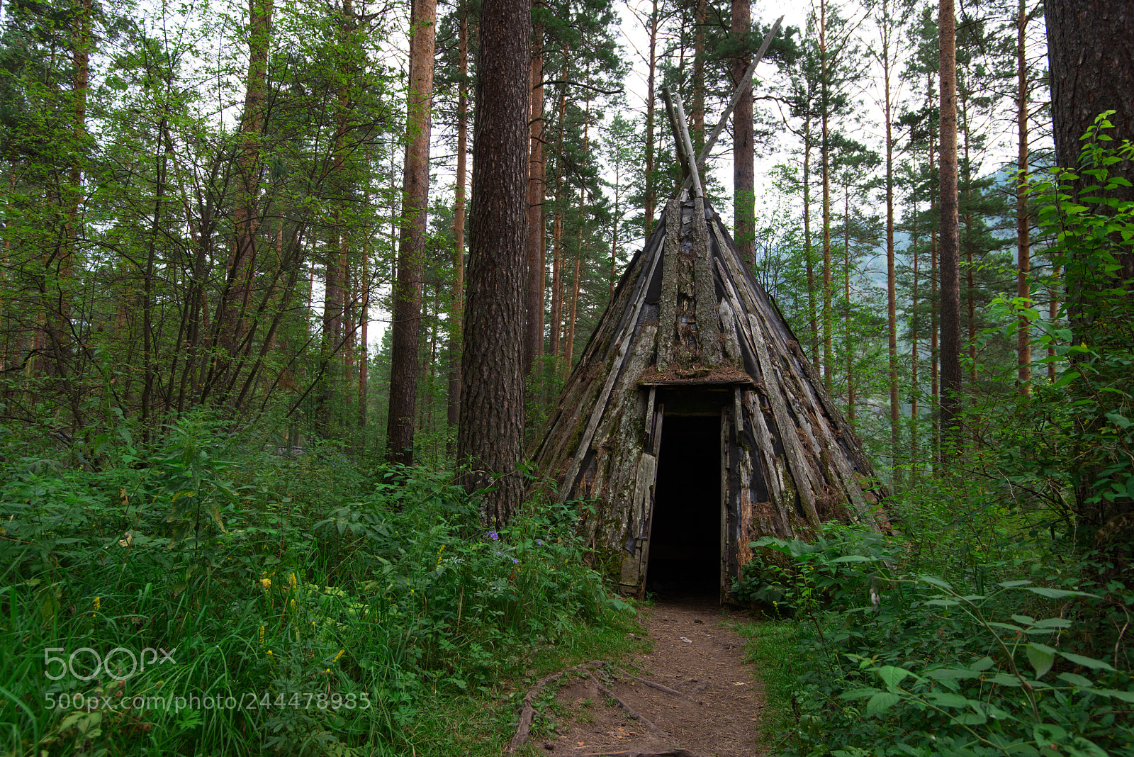 Nikon D810 sample photo. Old hovel of ancient photography