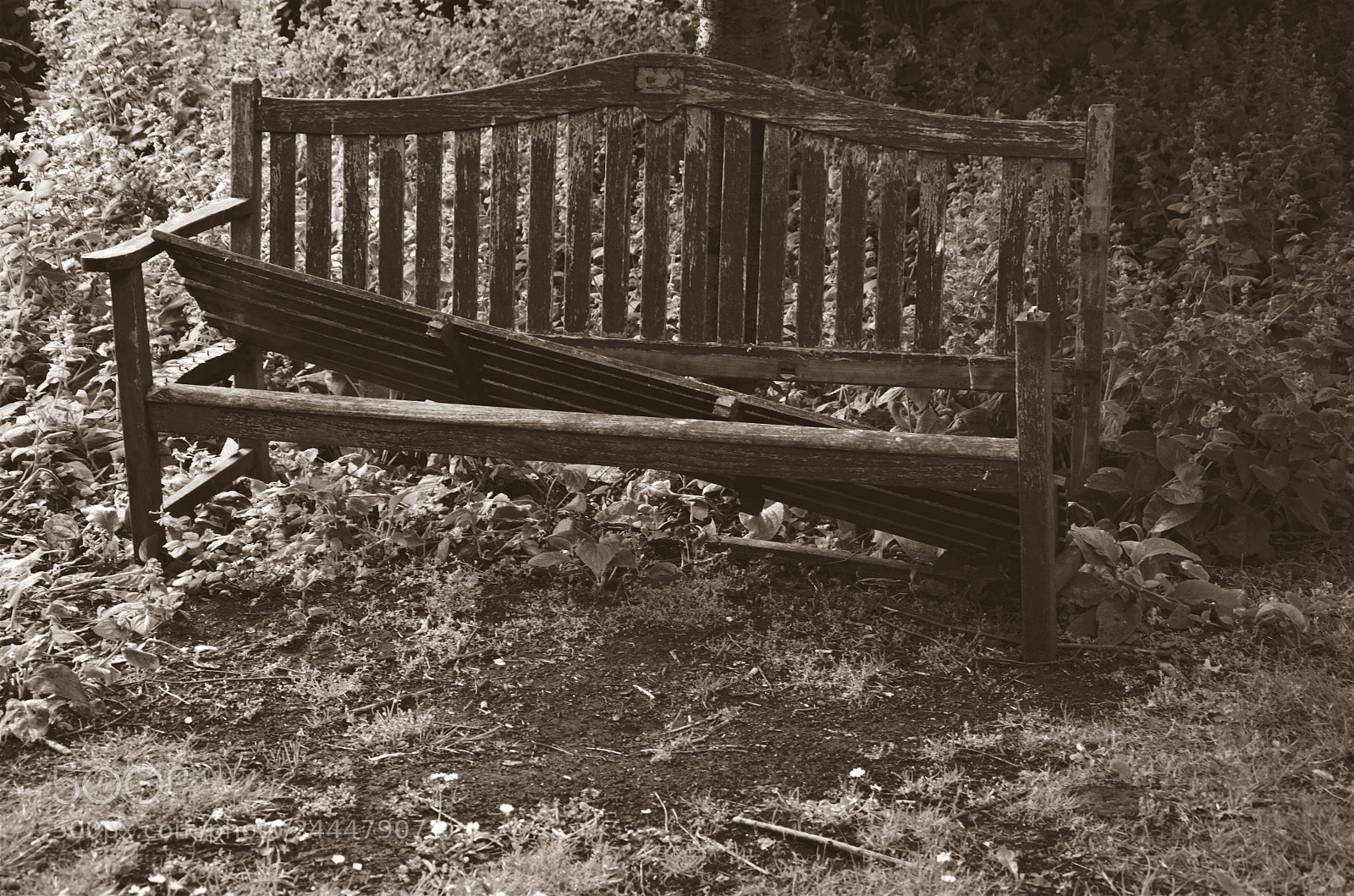 Nikon D5100 sample photo. Bench photography