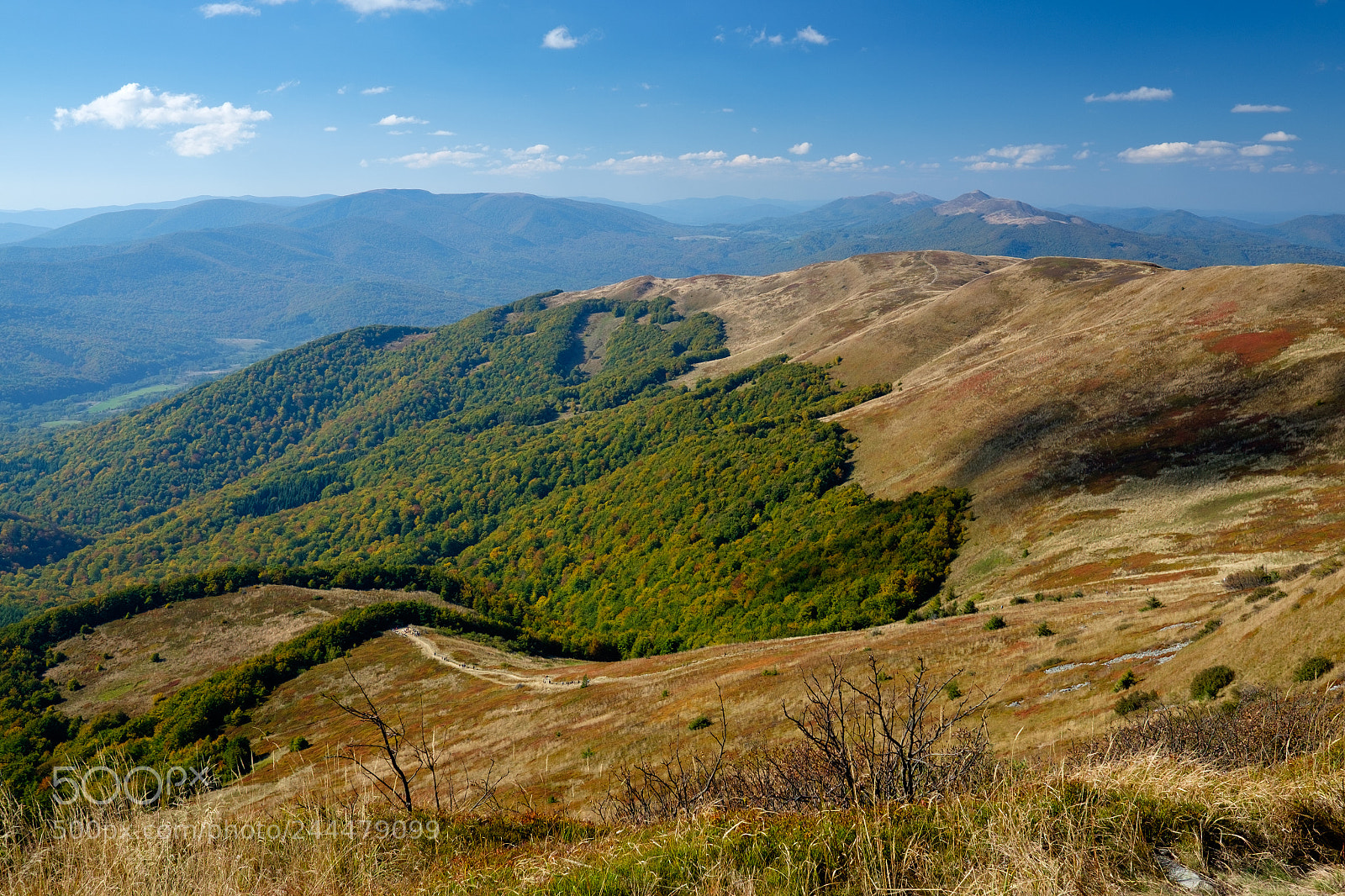 Fujifilm X-E2 sample photo. Bieszczady mountains photography