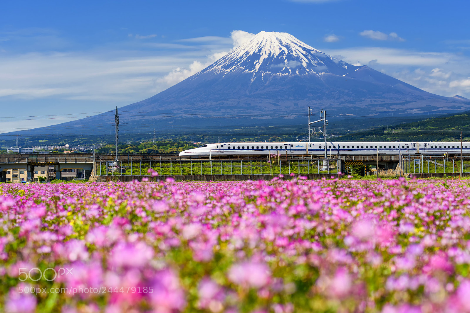 Nikon D810 sample photo. Shinkansen and mount fujisan photography