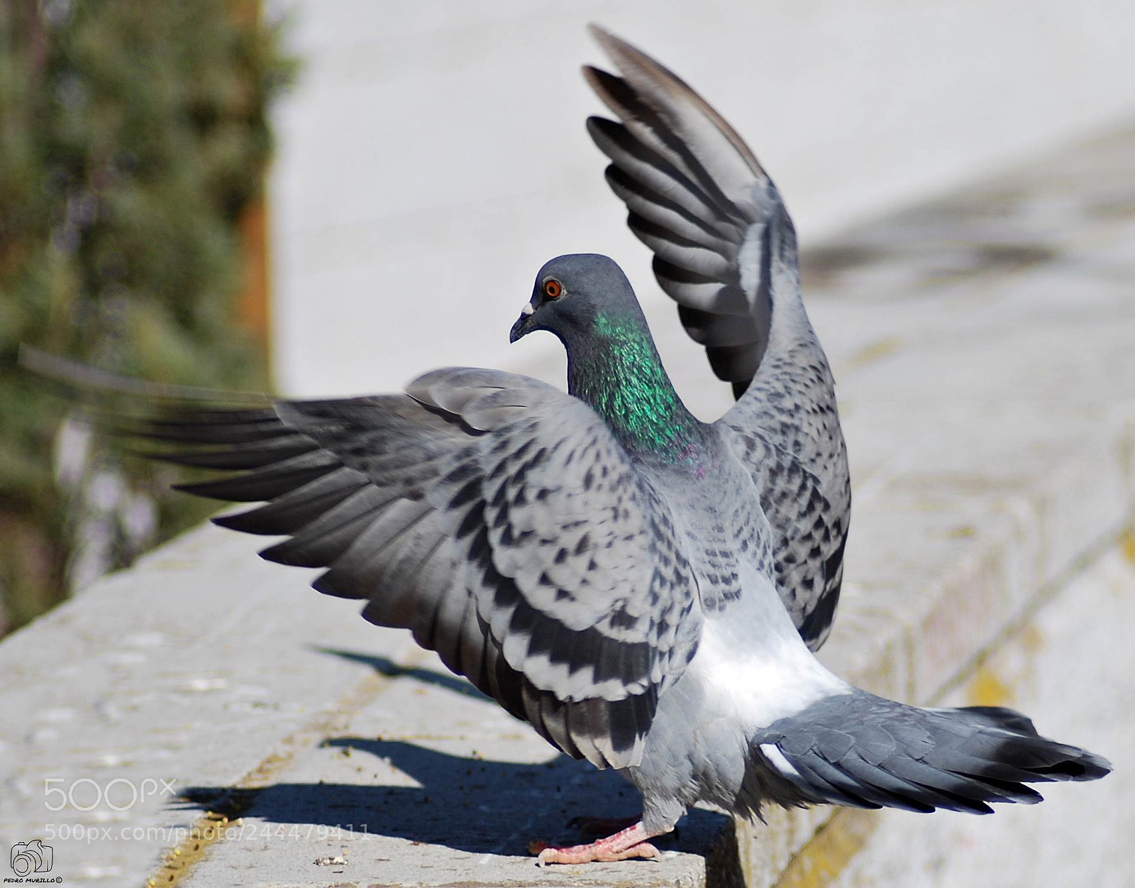 Nikon D60 sample photo. Untitled photography