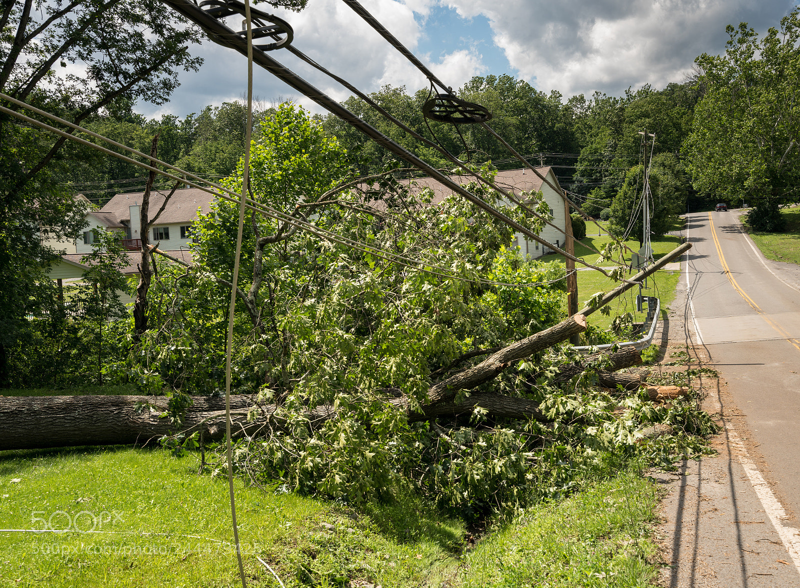 Sony a7R II sample photo. Snapped and downed power photography
