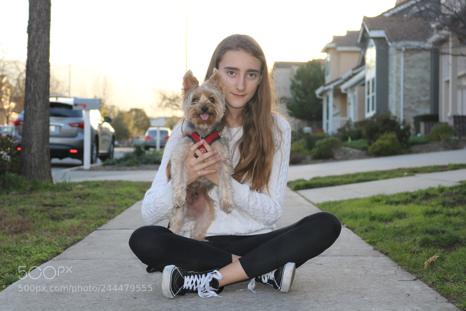 Canon EOS 750D (EOS Rebel T6i / EOS Kiss X8i) sample photo. A girl and her photography