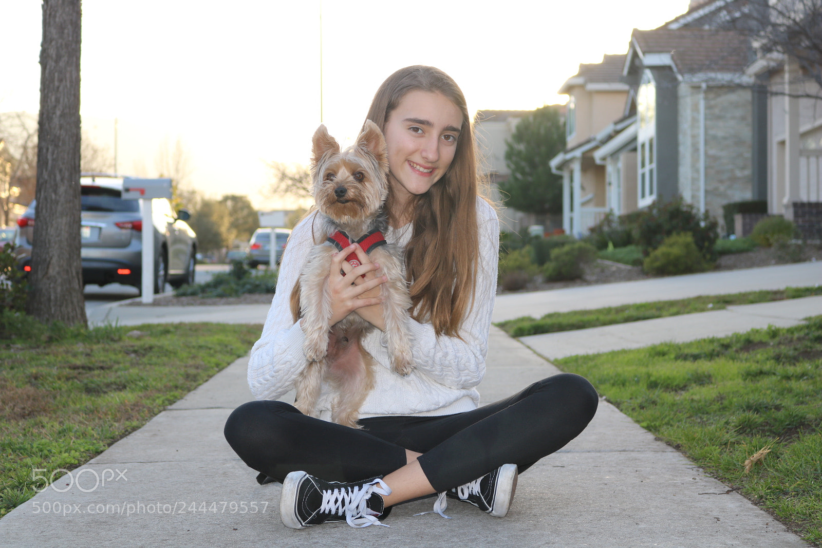 Canon EOS 750D (EOS Rebel T6i / EOS Kiss X8i) sample photo. Girl and dog photography