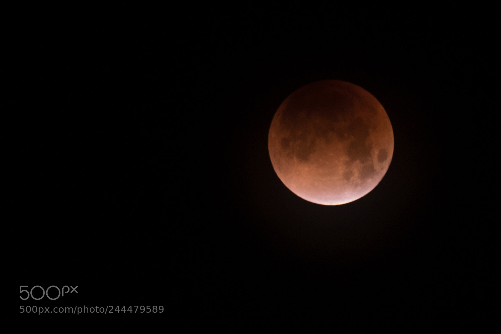 Fujifilm X-T10 sample photo. Super blue blood moon photography