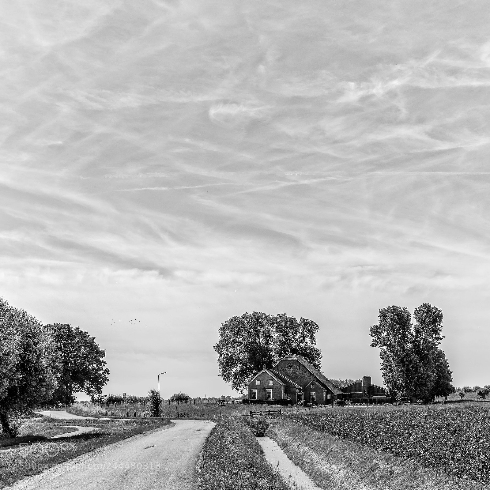 Fujifilm X-T2 sample photo. Farm in polder photography
