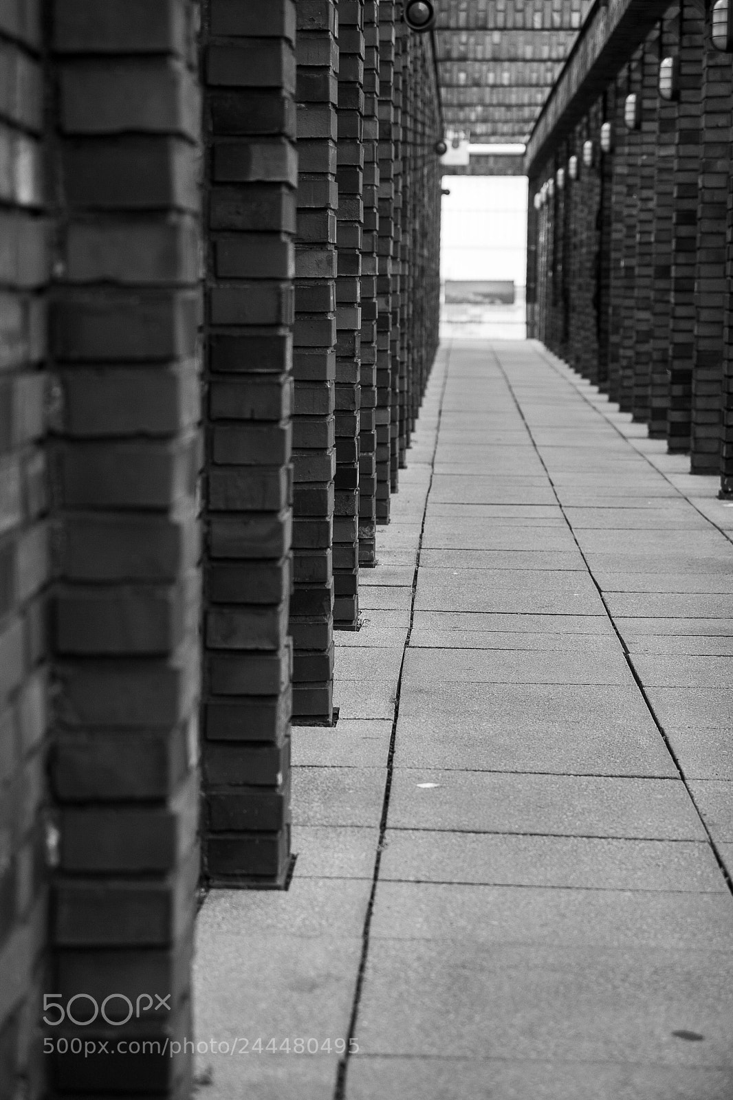 Canon EOS 30D sample photo. A photography
