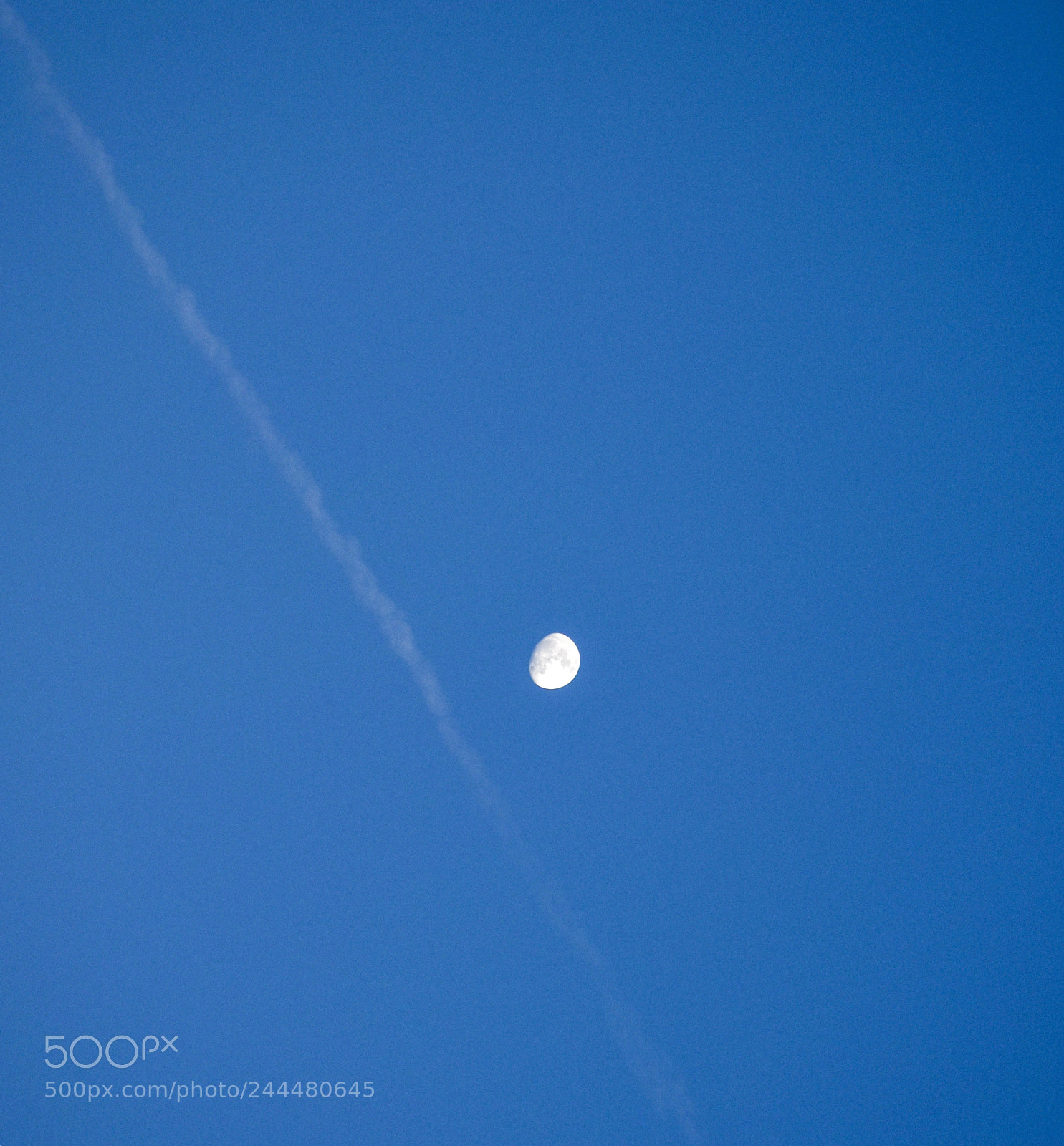 Nikon D3400 sample photo. Dividing the sky photography