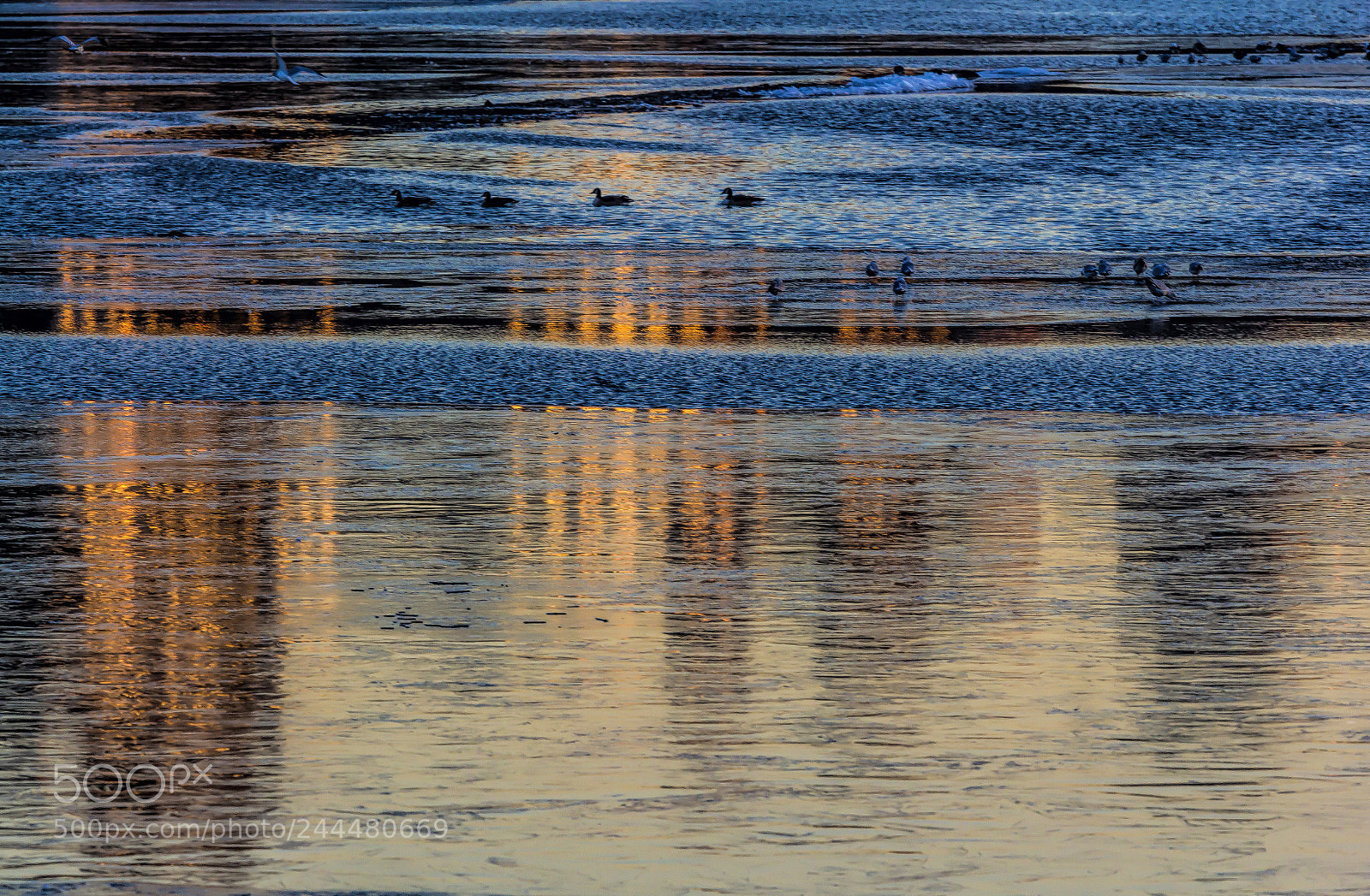 Canon EOS 60D sample photo. Sunset reflections and gullls photography