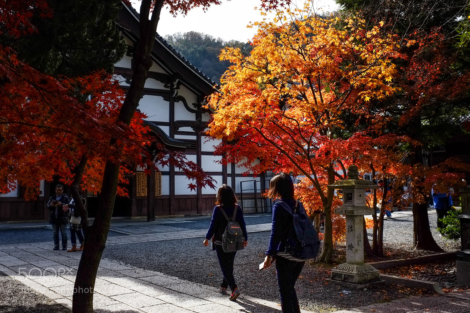 Fujifilm FinePix X100 sample photo. A touch of photography