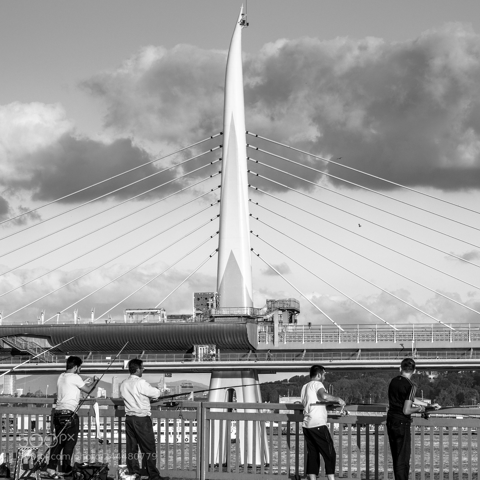 Olympus OM-D E-M1 Mark II sample photo. Geometrical fishing photography