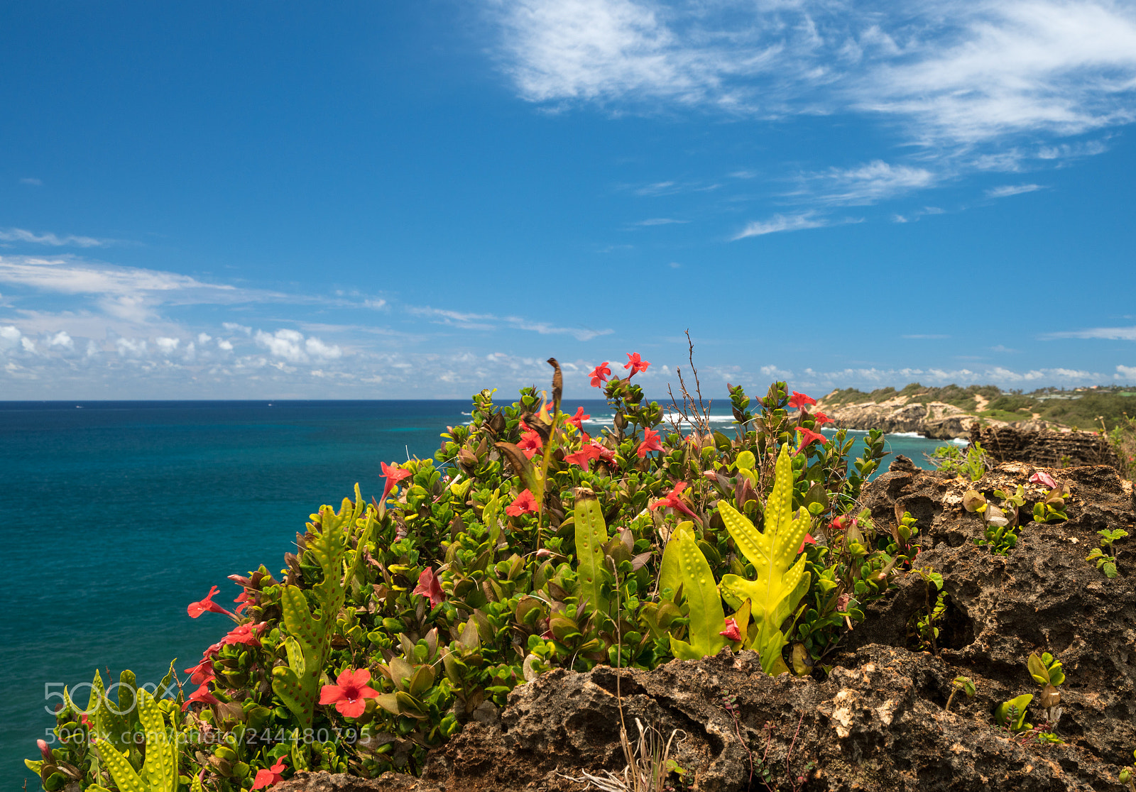 Sony a7R II sample photo. Makawehi bluff and poipu photography