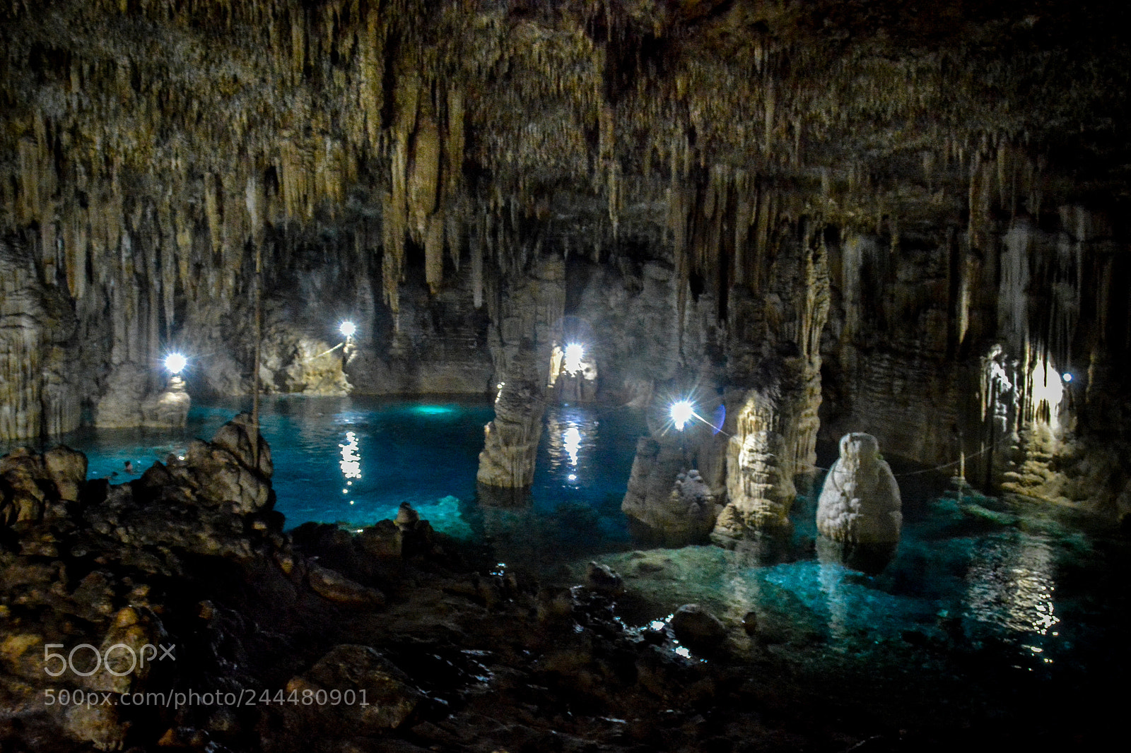 Nikon D7100 sample photo. Mexique cénote yucatan photography